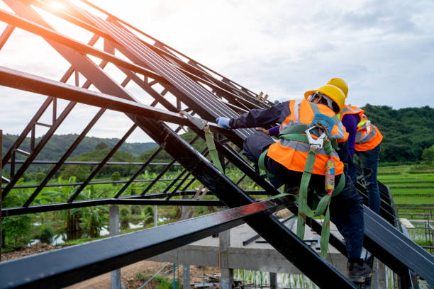 Best Local Roofing Companies  in Orland Hls, IL