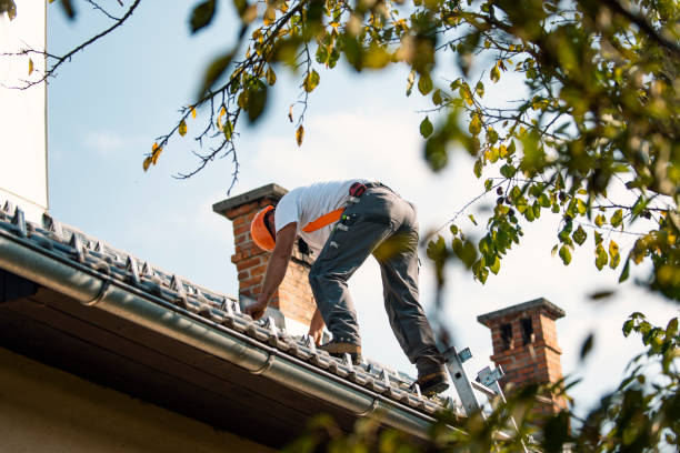 Best Roofing Contractor Near Me  in Orland Hls, IL