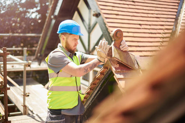 Best Roof Maintenance Services  in Orland Hls, IL